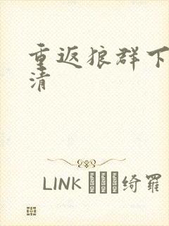 重返狼群下载高清封面