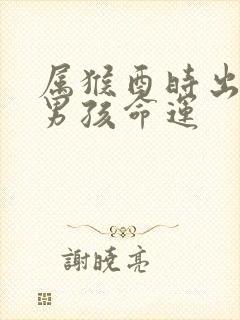 属猴酉时出生的男孩命运