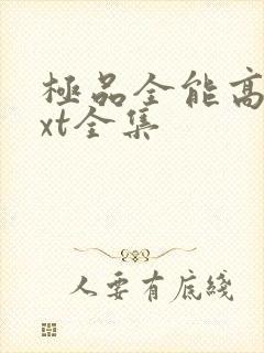 极品全能高手txt全集