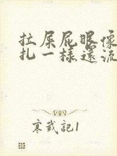 拉屎屁眼像被针扎一样还流血