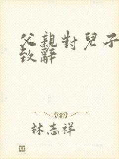 父亲对儿子订婚致辞封面