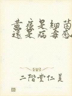 黄痰是细菌感染还是病毒感染封面