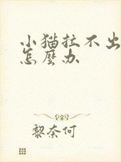 小猫拉不出来尿怎么办