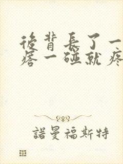 后背长了一个疙瘩一碰就疼怎么回事封面