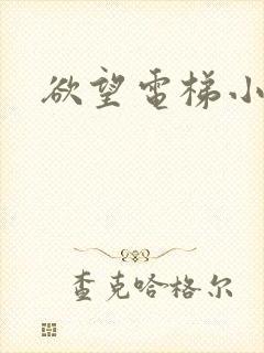 欲望电梯小说封面