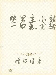 双男主小说推文一口气完结封面