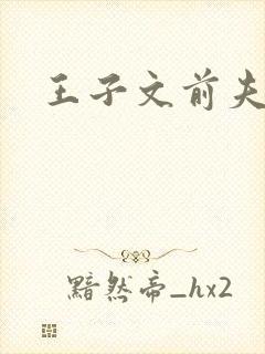 王子文前夫是谁