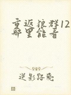 重返狼群12集哪里能看