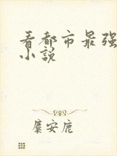 看都市最强弃少小说封面