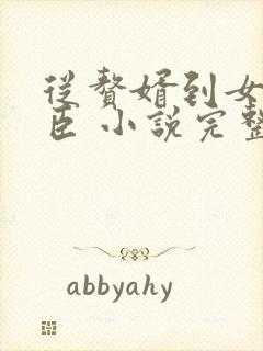 从赘婿到女帝宠臣 小说完整