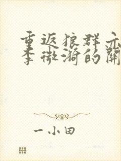 重返狼群亦风和李微漪的关系封面