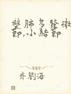 双肺多发微小结节,小结节