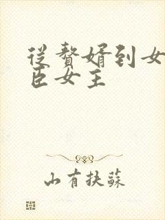 从赘婿到女帝宠臣女主封面