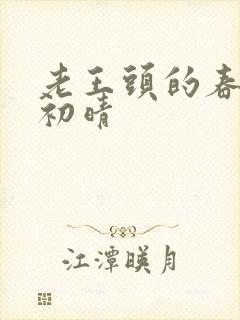 老王头的春天林初晴