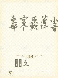 东宫原著小说在哪个软件看封面