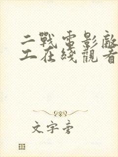 二战电影敌后特工在线观看