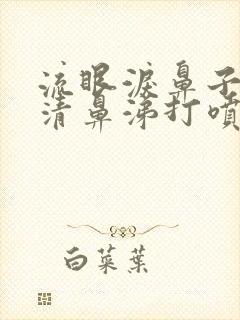 流眼泪鼻子痒流清鼻涕打喷嚏吃什么药