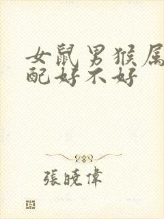 女鼠男猴属相婚配好不好