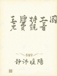 王牌特工国语版免费观看