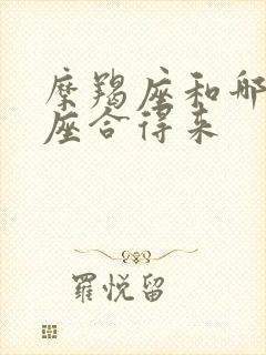 摩羯座和哪个星座合得来