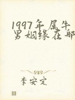 1997年属牛男姻缘在哪年能成功封面
