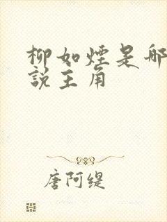 柳如烟是哪部小说主角