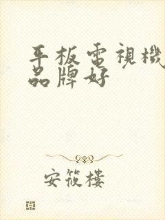 平板电视机什么品牌好