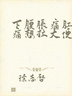 下腹胀痛肛门胀痛想拉大便又拉不出来难受