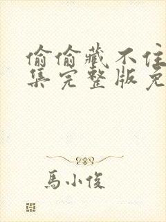 偷偷藏不住40集完整版免费看