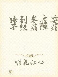 睡到半夜突然肚子绞痛阵痛封面