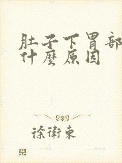 肚子下胃部疼痛什么原因