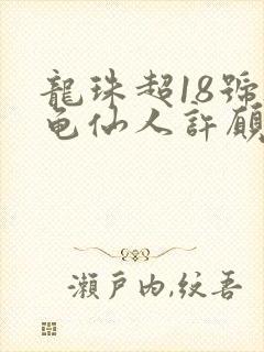 龙珠超18号被龟仙人许愿封面