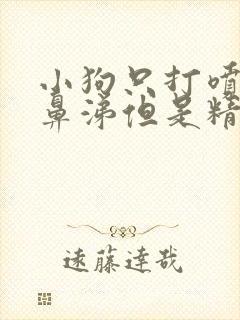 小狗只打喷嚏流鼻涕但是精神很好