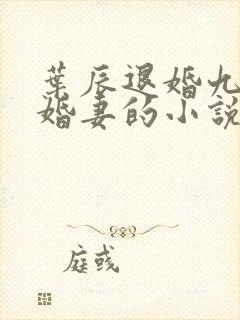 叶辰退婚九个未婚妻的小说封面