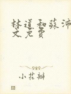 林道和苏沛真全文免费封面