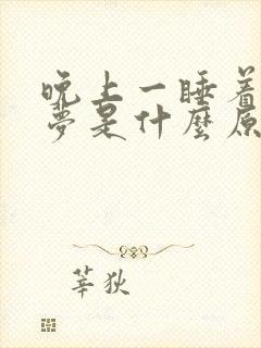 晚上一睡着就做梦是什么原因封面