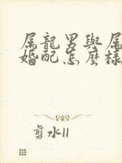 属龙男与属马女婚配怎么样