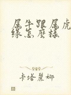 属牛跟属虎的姻缘怎么样