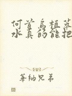 何首乌植萃洗发水真的能把白头发洗黑吗