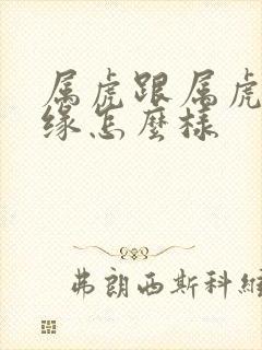 属虎跟属虎的姻缘怎么样封面