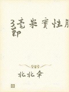 3毫米实性肺结节