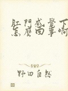 肛门感觉下坠是怎么回事啊