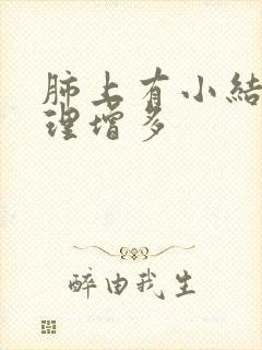 肺上有小结节纹理增多封面