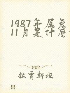 1987年属兔11月是什么命运