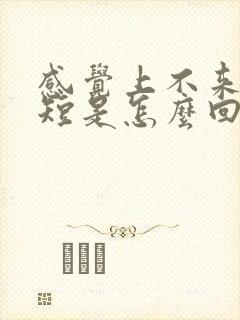 感觉上不来气气短是怎么回事呢?