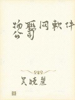 物联网软件开发公司