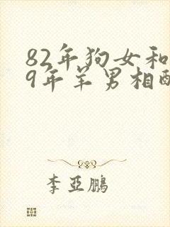 82年狗女和79年羊男相配婚姻如何