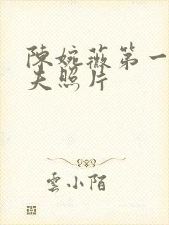 陈婉薇第一任丈夫照片