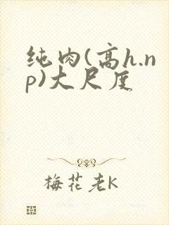 纯肉(高h.np)大尺度