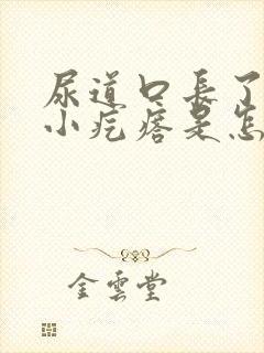 尿道口长了一圈小疙瘩是怎么回事